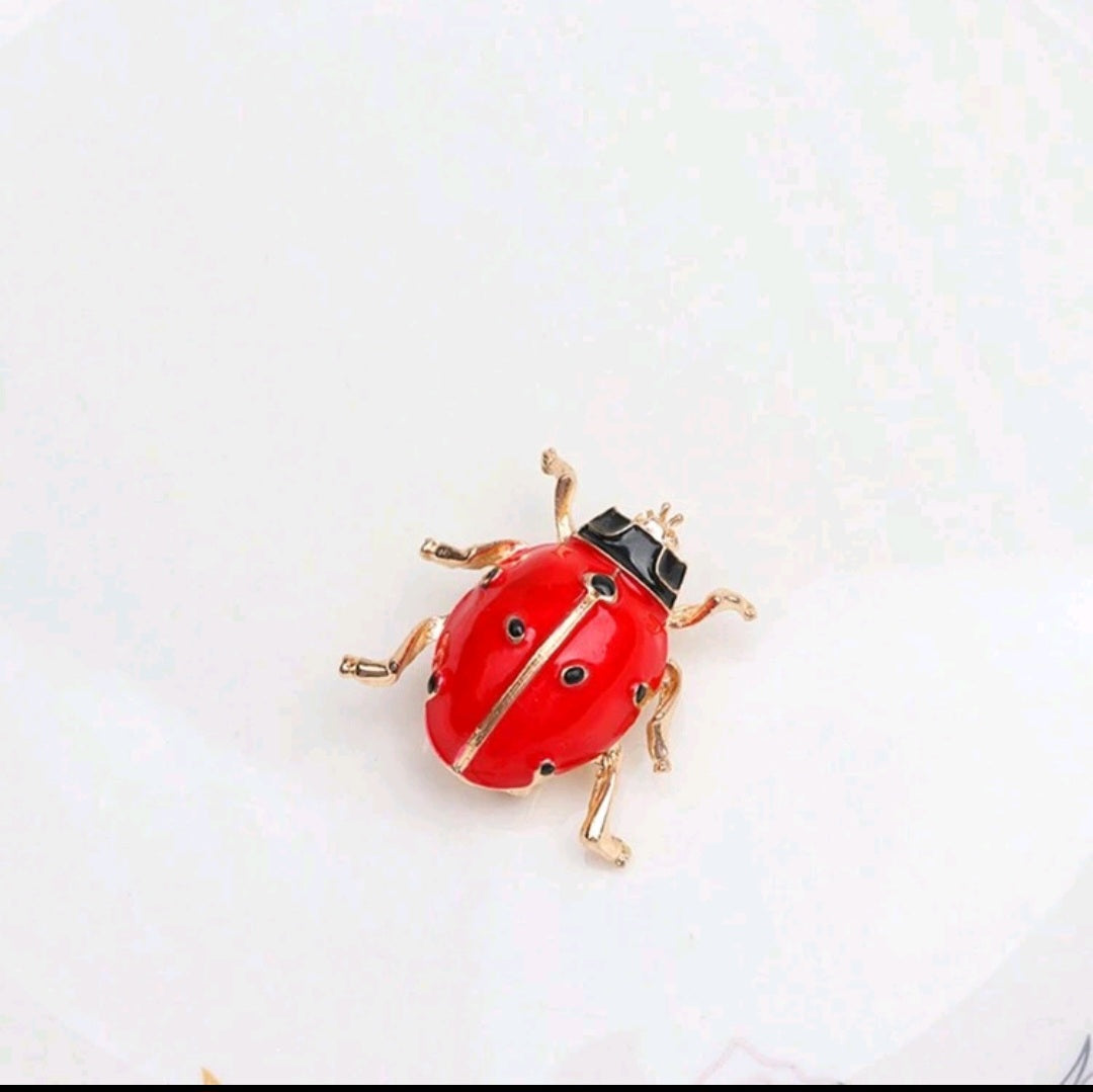 Lady bug
