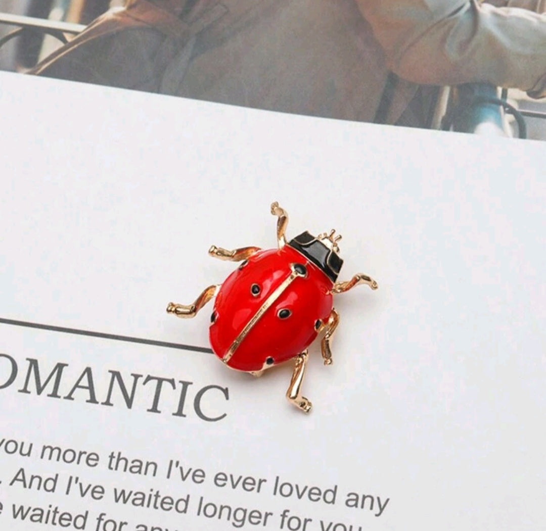 Lady bug