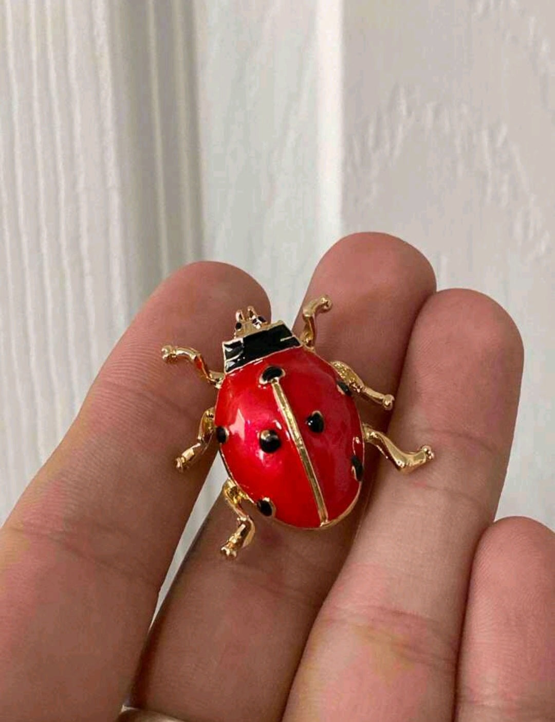 Lady bug
